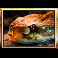 apollo god of the sun slot serpent symbol