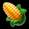 bigger barn house bonanza slot corn symbol