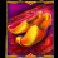cash lamps golden shoes symbol