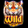 cash lamps wild symbol