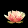 dragons luck deluxe slot lotus symbol