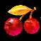 fire and roses joker 2 all in king millions cherries symbol