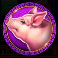 golden macaque pig symbol