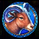 golden macaque ram symbol