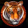 golden macaque tiger symbol