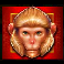 golden macaque wild symbol
