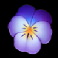 honey rush blue flower symbol