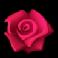 honey rush rose symbol