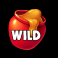 honey rush wild symbol