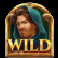 land of riches man wild symbol