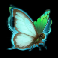 leprechauns loot butterfly symbol