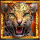 masked treasures leopard symbol
