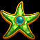 mermaids treasure trove star fish symbol