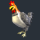 piggy payout slot chicken symbol
