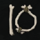 rabid randy dark trails slot 10 symbol