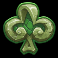 rainforest magic slot club symbol