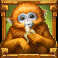 rainforest magic slot monkey symbol