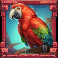 rainforest magic slot parrot symbol