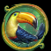 rainforest magic slot toucan symbol