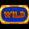 scarab slot wild symbol