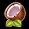 volcanic wilds coconut symbol