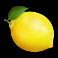 6 tokens of gold lemon symbol