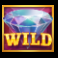 6 tokens of gold wild symbol