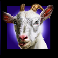 crazy goose goat symbol