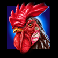 crazy goose rooster symbol