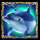 dolphins pearl deluxe 10 dolphin wild symbol