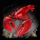 dolphins pearl deluxe 10 lobster symbol