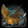 dolphins pearl deluxe 10 ray symbol