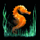 dolphins pearl deluxe 10 seahorse symbol