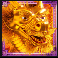 dragon 50000 dragon wild symbol
