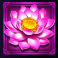 dragon match megaways slot flower symbol