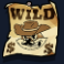 le cowboy slot wild symbol