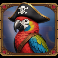 pirate blimey parrot symbol