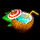 rio fever coconut symbol