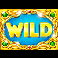 rio fever wild symbol