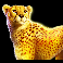 rumble rhino cheetah symbol