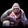 rumble rhino gorilla symbol