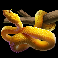 rumble rhino snake symbol