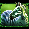 rumble rhino zebra symbol