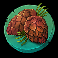 seasons pine cones symbol