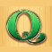 stein haus slot q symbol