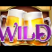 stein haus slot wild symbol