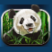 stellar jackpots with more monkeys slot panda symbol