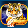 stellar jackpots with more monkeys slot tiger symbol