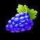 sweet rush bonanza slot grapes symbol