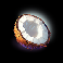 your own island coconut symbol